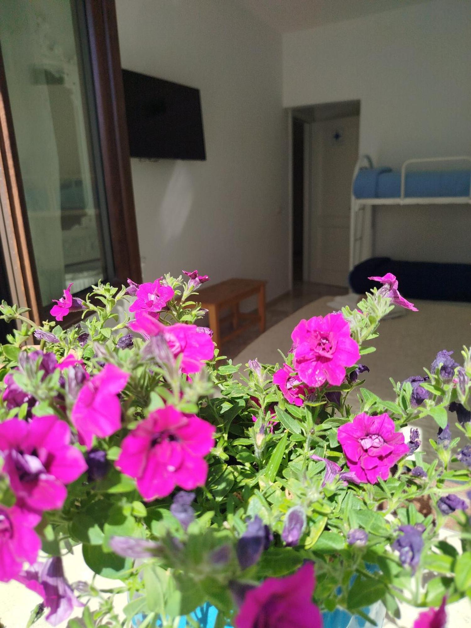 La Stella Dei Venti Bed & Breakfast Gallipoli Exterior photo